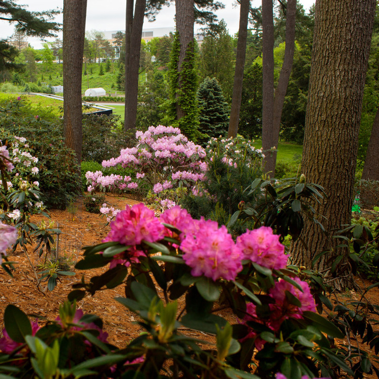 Styleguide Arson Lab